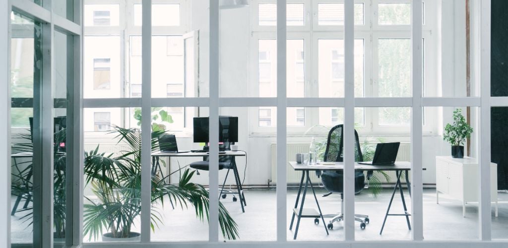 coworking space with lots of natural light and greenery