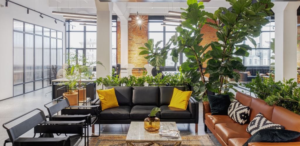 office space with indoor potted plants and greenery. Sofa and table in foreground