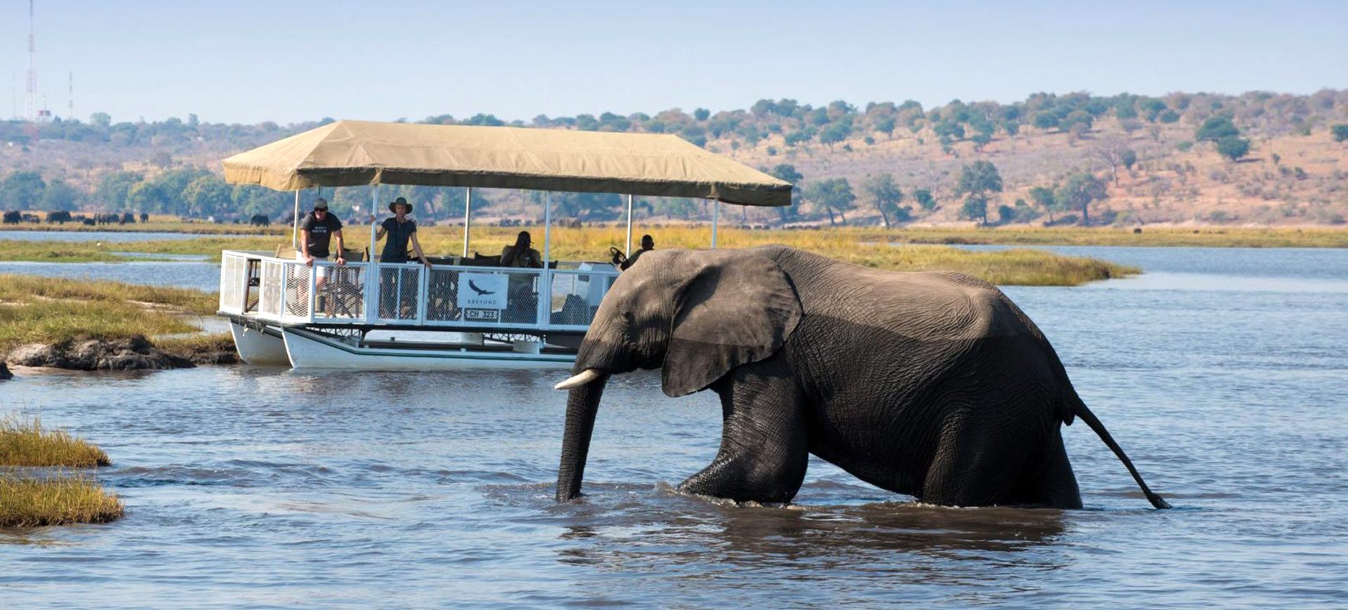 6 Safari Lodges in Chobe for Your Botswana Expedition