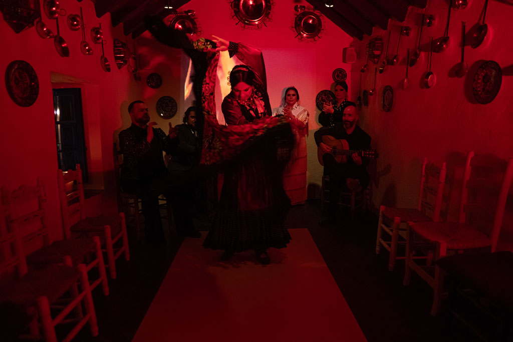 Best Flamenco Shows in Barcelona