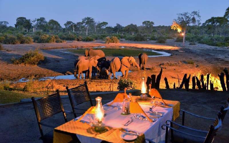 6 Safari Lodges in Chobe for Your Botswana Experience