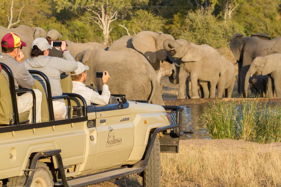 8 Safari Camps Close to Victoria Falls