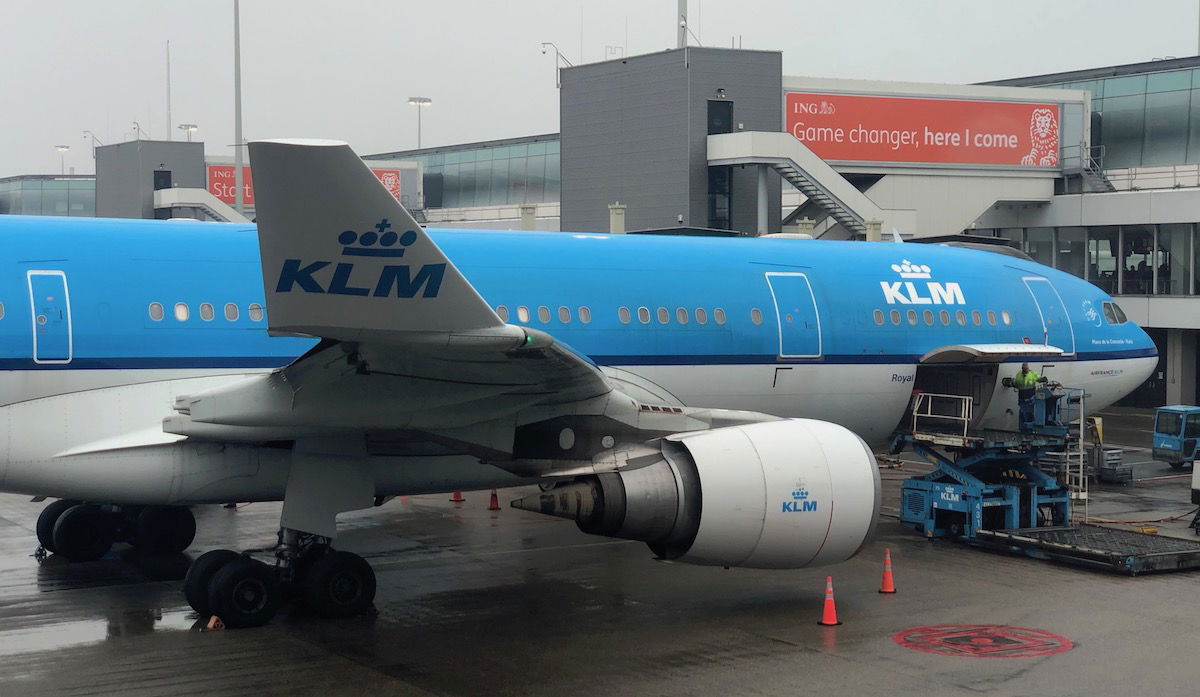 Enormous Rodent Disrupts Flights on KLM Transatlantic Trip, Marooning Hundreds of Travelers
