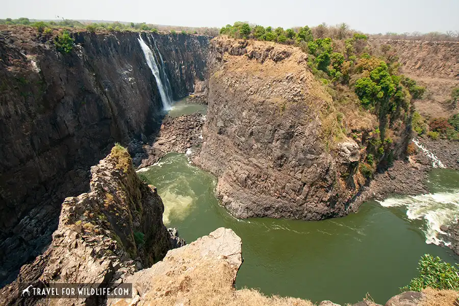 8 Safari Lodges Close to Victoria Falls