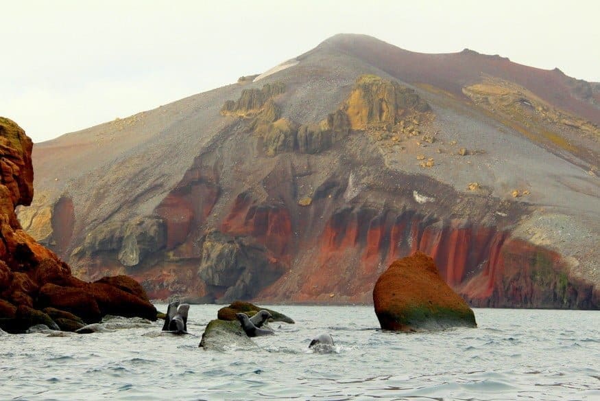 The Antarctic South Shetland Islands